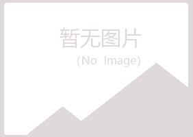 阳山县夜白律师有限公司